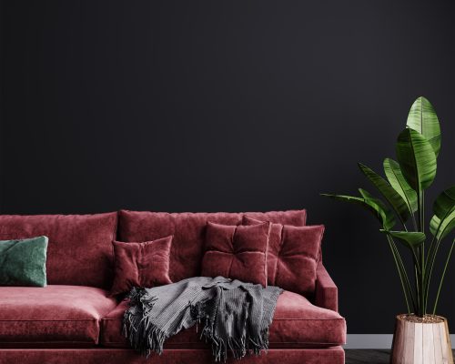 Modern living room luxury interior design mock up with dark red sofa and plant, empty dark gray wall mockup, living room interior background, 3d rendering